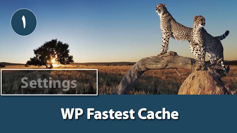 آموزش افزونه WP Fastest Cache قسمت 1